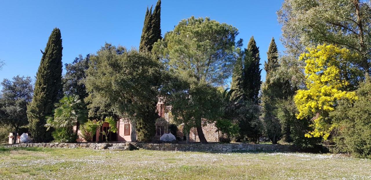 Podere La Fornace Ravi Bagian luar foto